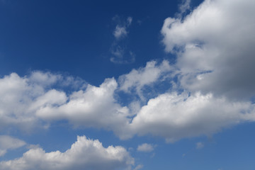 Naklejka na ściany i meble 青空と雲「空想・雲のモンスターたち」柔和な顔、変化する顔、慈悲、