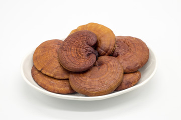 Lingzhi Mushroom