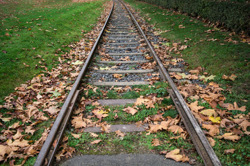 Obraz premium Tram tracks in Frankfurt am Main. 