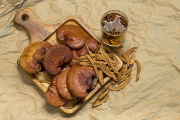Lingzhi Mushroom