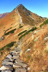 Poland, Tatra Mountains, Zakopane - Goryczkowa Swinska Pass, Goryczkowa Czuba and Czerwone Wierchy peaks with Western Tatra in background