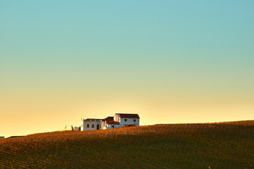 Fototapeta premium the farm at the top of the hill