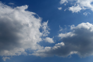 Fototapeta na wymiar 青空と雲「雲の風景」