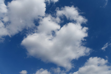 Naklejka na ściany i meble 青空と雲「空想・雲のモンスターたち（動物の顔などのイメージ）」目が飛び出る、驚き、衝撃を受ける、ショック、震撼などのイメージ