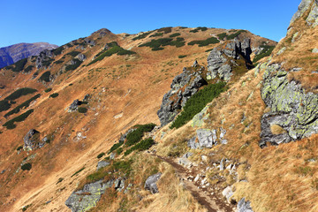 Fototapeta na wymiar Poland, Tatra Mountains, Zakopane - Czerwone Wierchy - Suchy Wierch Kondracki, Kondracka Kopa, Malolaczniak and Krzesanica peaks with Western Tatra in background