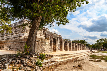 Group of thousand columns complex and tree in foreground, Chichen Itza archaeological site, Yucatan, Mexico