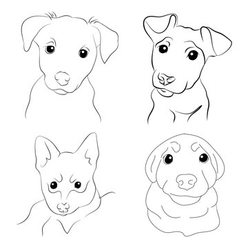 Muzzle puppy illustration set