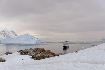 Expedition ship in Antarctic sea