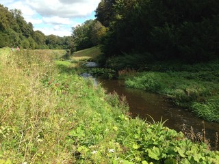 Obraz premium Countryside Brook