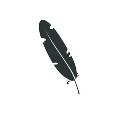 Feather vector icon isolated on white background. Pen for calligraphy and design. Graphic illustration