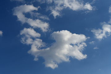 青空と雲「空想・雲のモンスターたち」尻尾に絡みつく、尻尾にかみつくなどのイメージ