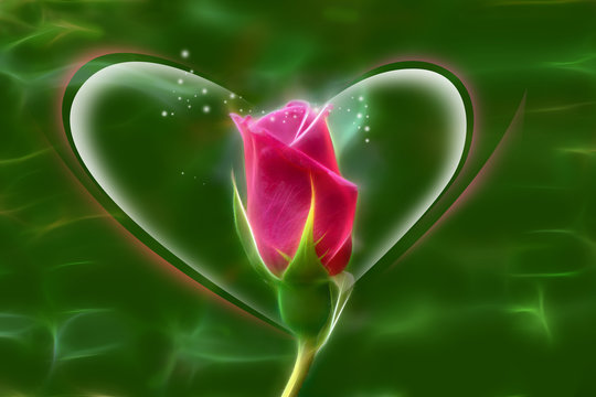 The rose is the flower represents love. Its on effect glow wire.