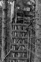 hunters high seat in the woods in the south of germany