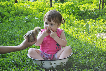 baby playing with chicken