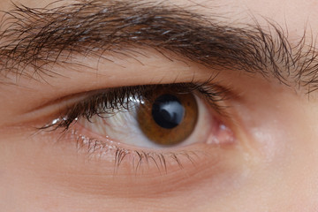 Eyes macro. Pupil, eyelashes and eyebrow close-up