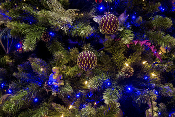 Detail of some colored Christmas balls hanging from a tree with green branches, a classic Christmas decoration in the Catholic countries. The lights around the Christmas tree are blue.