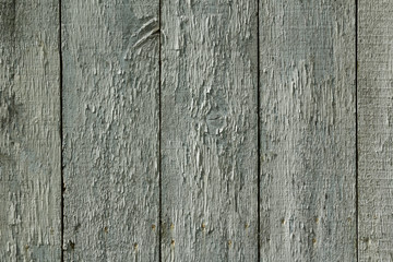 Full frame close up of highly textured flaking paint on an old weathered barn door