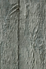 Full frame close up of highly textured flaking paint on an old weathered barn door