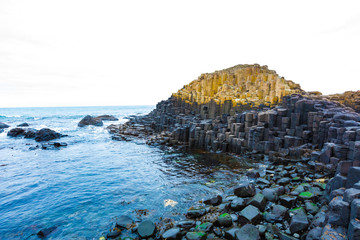 Fototapeta premium giants causeway northern ireland