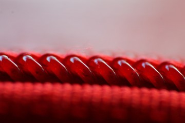 Macro of red zipper side view © Alexandra