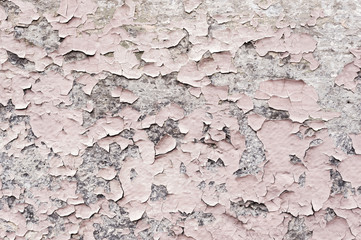 Pink paint coating with cracks on a dirty gray stone. Peeling pink paint Grunge