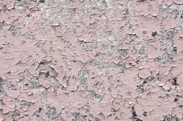 Naklejka premium Pink paint coating with cracks on a dirty gray stone. Peeling pink paint Grunge