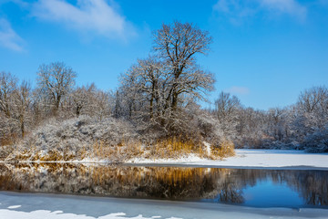 winter frozen river flow through a forest