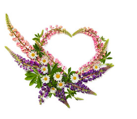 Wild flowers pink and violet lupin (Lupinus albus) and daisies in the shape heart on a white background with space for text. Top view, flat lay