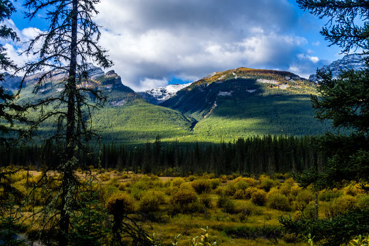 From the Bow Valley Parkway, Banff National Park, Alberta, Canada