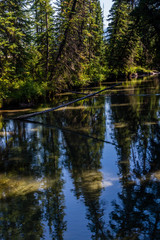 Fenland Trail, Banff National Park, Alberta, Canada