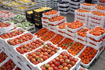 Plateaux de fruits et légumes, tomates, oranges