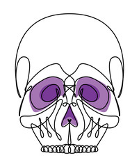 Continuous Line Vector Skull Icon