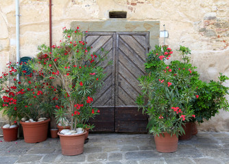 old wooden door decorated with flowers, Tuscany, Italy