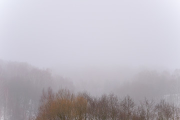 Fototapeta na wymiar Winter foggy landscape.