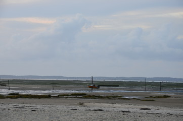 bassin d'arcachon (gujan mestras)