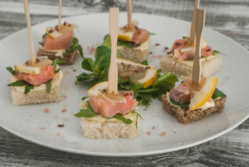 Marinated Salmon Toasts or Canape on White Plate With Butter Cream and Arugula leaves.