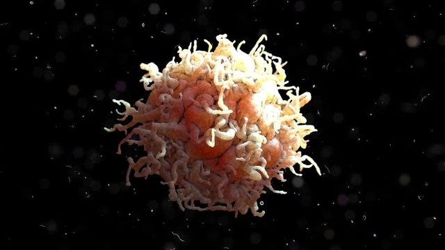 3D Rendering scanning electron microscope image of a white blood cell.