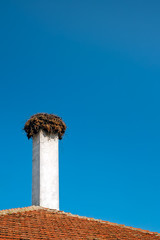 Storks nest on a chimney