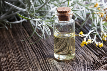 A bottle of helichrysum italicum essential oil with helichrysum twigs