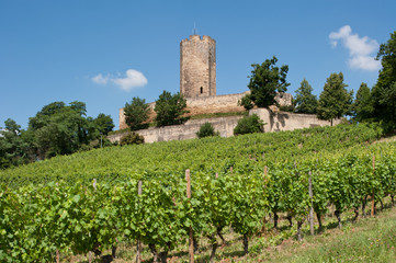 Burg Steinsberg