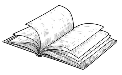 Open book illustration, drawing, engraving, ink, line art, vector