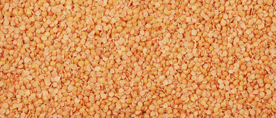 Orange lentils panorama, background, texture.