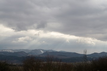 Fototapeta premium Magic trees and paths in the forest during sunrise and sunset. Slovakia