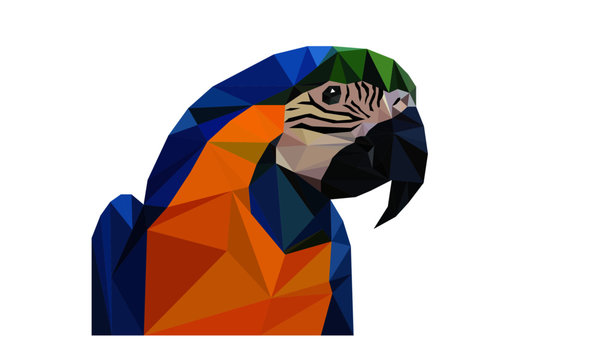 Papagei Lowpoly / Papier / Dreiecke