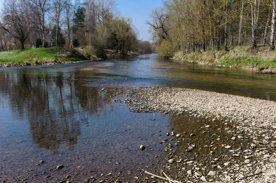 Junge Donau
