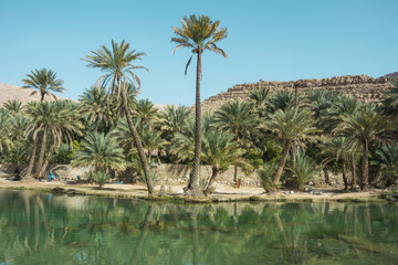 Swimming in Wadi Bani Khalid in Oman