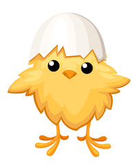 Funny chicken in egg for easter decoration cartoon vector flat clipart yellow bird in an egg shell vector illustration on white background