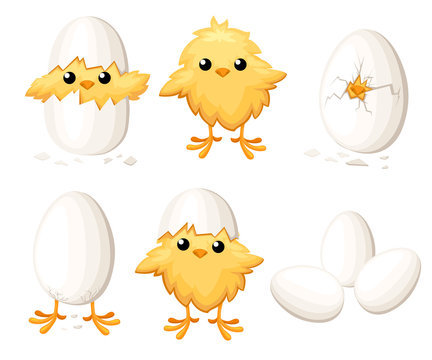 Set of funny chicken in egg for easter decoration cartoon vector flat clipart yellow bird in an egg shell vector illustration on white background