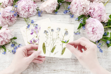 Handmade postcard with dried pressed flowers and fresh pink peonies around.