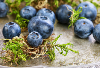 Blank blackboard label, blueberries and moss around